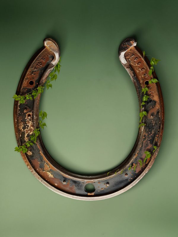 WEBPAGE_2